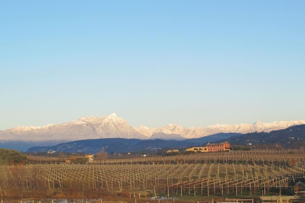 Country Apartment, Near Bardolino And Lazise Calmasino Buitenkant foto